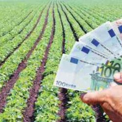 Χαμηλότερο από τον μέσο ευρωπαϊκό όρο το εισόδημα των Ελλήνων αγροτών
