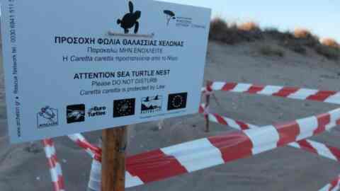 Μέτρα για την προστασία της ωοτοκίας της Caretta-Caretta στον Βόρειο Άξονα