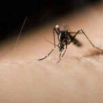 Οδηγίες από την Αντιπεριφέρεια για την αποφυγή τσιμπιμάτων από κουνούπια