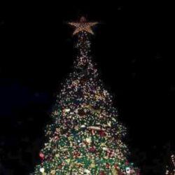 Ανάβει το Χριστουγεννιάτικο δέντρο στην πλατεία της ΔΕΥΑΒΑ στο Γεράνι