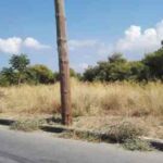 Κάλεσμα του δήμου Πλατανιά προς τους δημότες, να κόψουν τα ξερά χόρτα στις ιδιοκτησίες τους