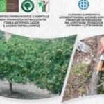 Ημερίδα για τις απειλές της καστανιάς και του πλατάνου, από την διεύθυνση δασών Χανίων