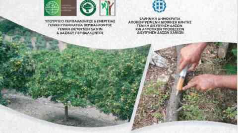 Ημερίδα για τις απειλές της καστανιάς και του πλατάνου, από την διεύθυνση δασών Χανίων